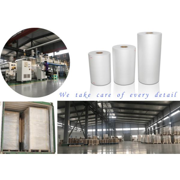 Soft Matt Lamination Roll 350mm*3000m 445mm*3000m Multiple Extrusion
