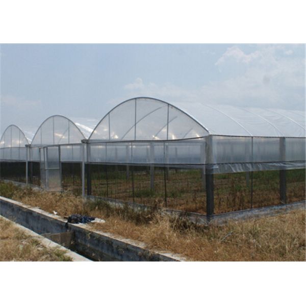 NFT Cover Material UV Resistant Greenhouse Great Space Efficient Performance