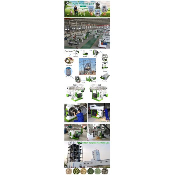 Farm Feed Pellet Production Line Poultry Feed Line 2 - 12mm Pellet Size
