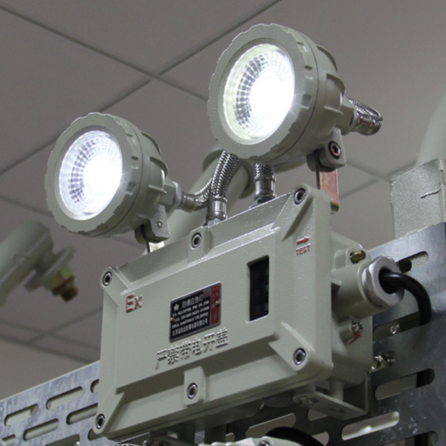 90min Flameproof Emergency Light Twin Spot Hazardous Locations