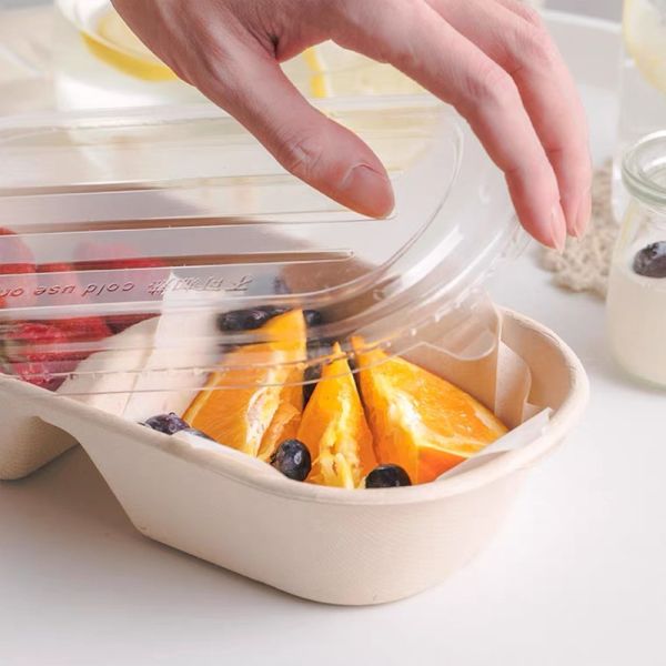 850ml 1000ml Biodegradable Bagasse Tableware Greaseproof Microwave Container With Lid