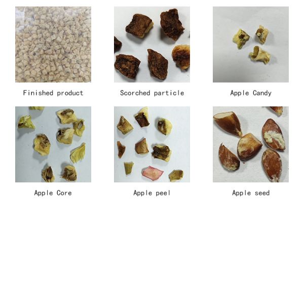 KM-1000 Dried Apple Dice Color Sorter with Optional 201/304 Material