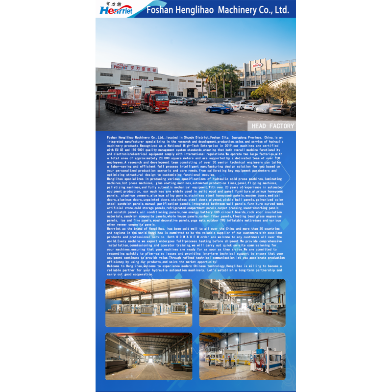 Double-Sided Automatic Conveying Cold Press Machine with 160 Ton Maximum Pressure and 3300*1800mm Pressure Plate Size