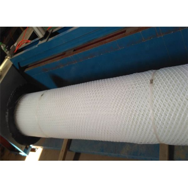 50mm Opening Hard Plastic Mesh Grid Polypropylene