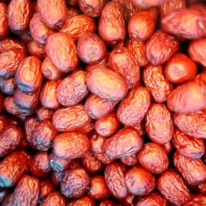 Stainless Steel Dates Sorting And Grading Machine 380V 10 Lanes