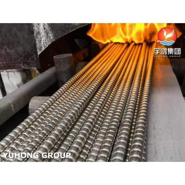 ASTM A213 TP304 Stainless Steel Corrugated Tube Enhanced Heat Transfer Tube