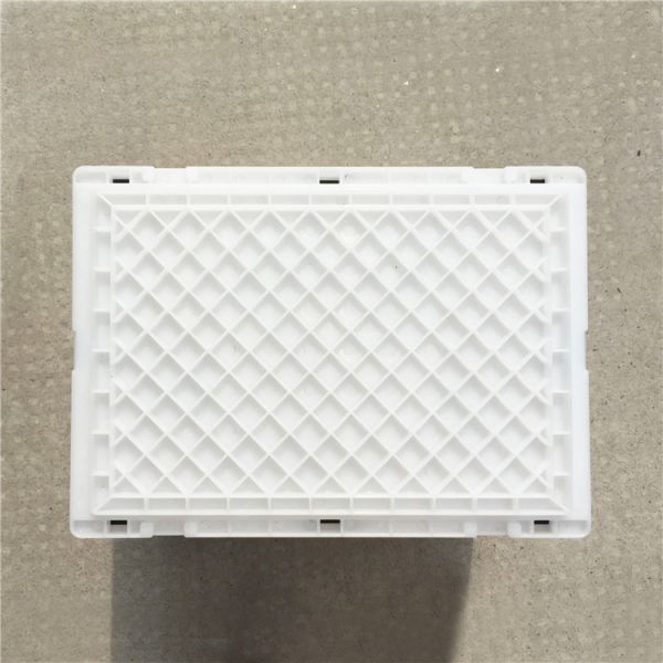 Attached Lids Collapsible Plastic Tote Boxes / Foldable Plastic Container