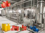 25t/H Tomato Processing Line One Stop Service SUS 304