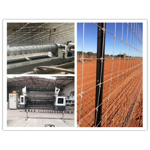 2400mm Grassland Animal Field Fixed Knot Fence Machine