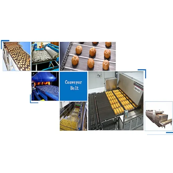 Stainless Steel Wire Mesh For Pharmaceutical Industries Conveyor