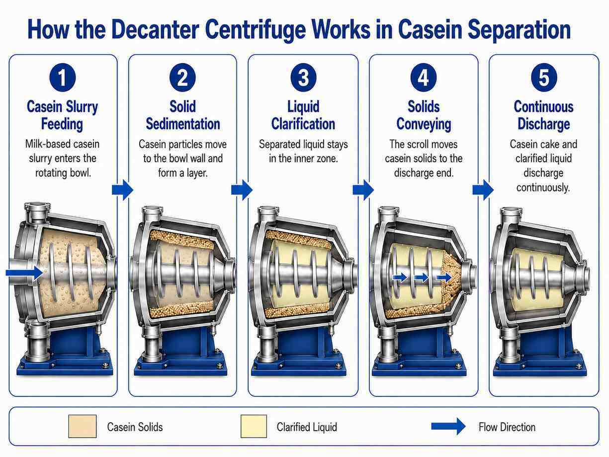 Dencanter Centrifuge for Casein Milk Separation