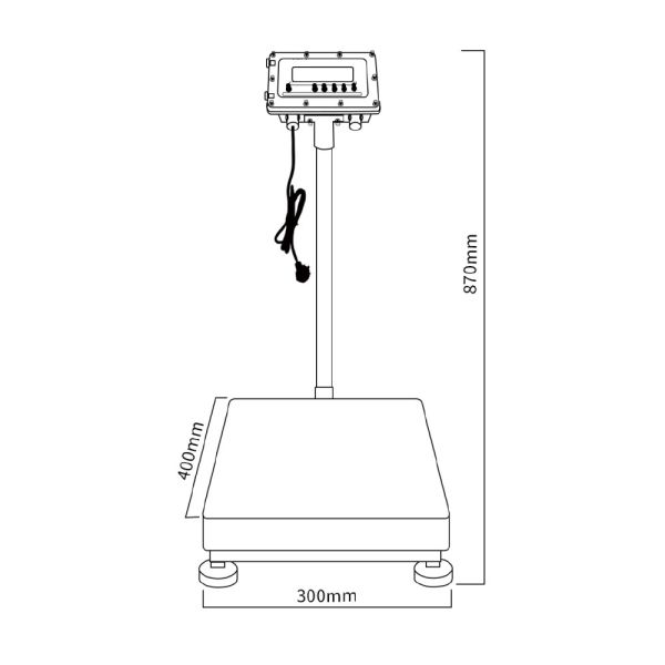 Robust Explosion Proof Platform Scales 150KG Aluminium Industrial Platform Weighing Scale