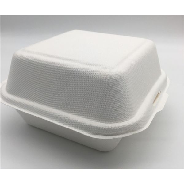 6" Biodegradable Takeout Containers