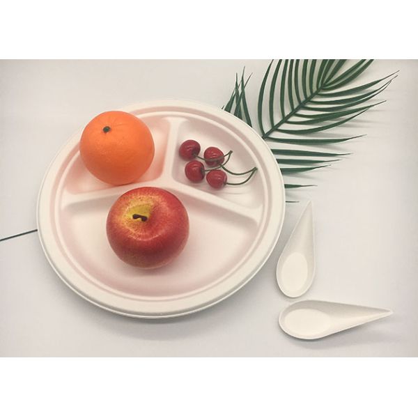 10" 3 Compartment Strong Dinnerware Bagasse Paper Plates