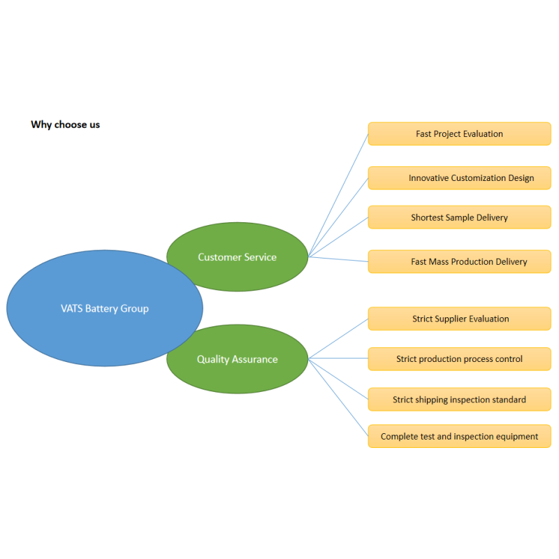 Advantages of choosing VATS Battery