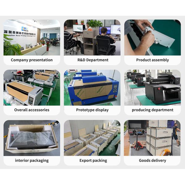 Full-Automatic DTF Printer with Multi Color Printing and 30cm Printing Width for Digital T-Shirt Printing