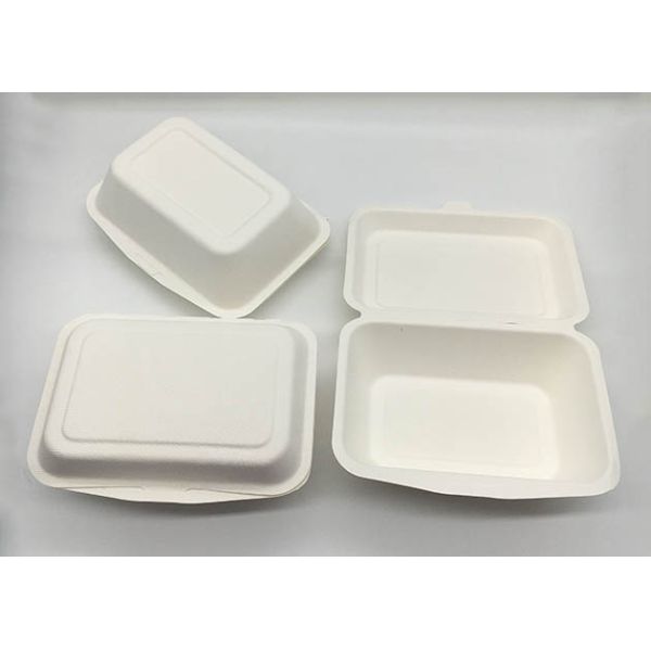 7×5 Inch Natural Biodegradable Takeaway Food Containers