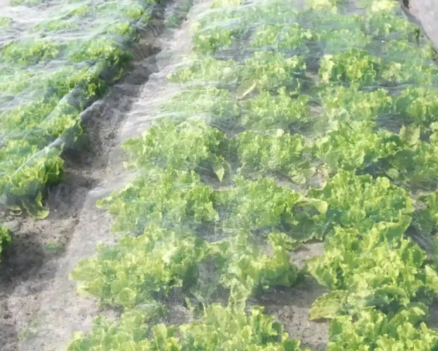 High Density Mesh Insect Net Greenhouse Farm Vegetable Insect Screen