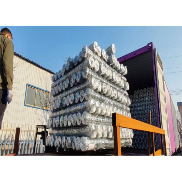 Buiding Decorative 1 Inch Galvanized Welded Wire Mesh