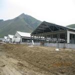 Structural Steel Poultry House for Pig or Goat Barns with high standard quality