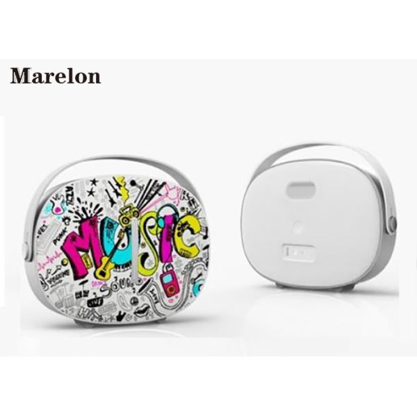 Portable Music Bluetooth Speaker , Wireless Amazon Alexa Speaker 6000mAh Battery