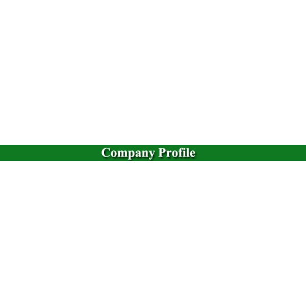 Durable Jumbo Roll Paper For Shipping Bags Environmental Friendly
