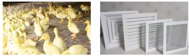 50mm Opening Hard Plastic Mesh Grid Polypropylene