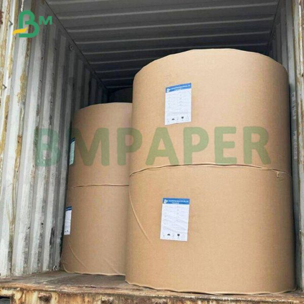 Strong Rigidity High Pulp SBS Board 14PT 16PT 18PT For Medicine Packaging Boxes