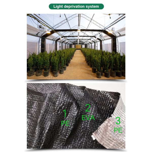 Greenhouse Grow Tent for Single-Span Agricultural Greenhouses and Indoor Growing