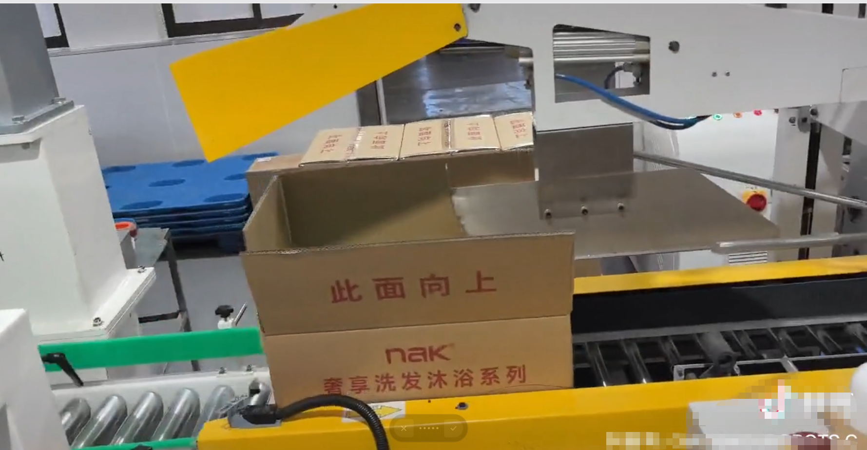 Low cost DS-D-B-1600 sorting robot packaging pick and place Robot Delta for product placing