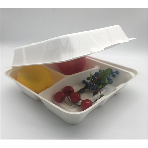 Microwavable 23×22×5cm 45g Biodegradable Takeout Containers