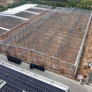 Large Span Pre Engineered Steel Buildings with Crane Support