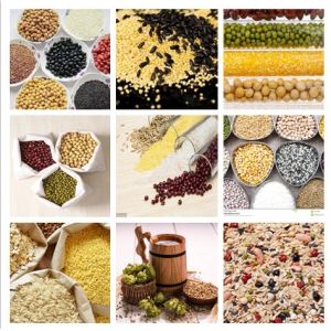 0.8L Spices Powder Multihead Weigher with PLC Control System