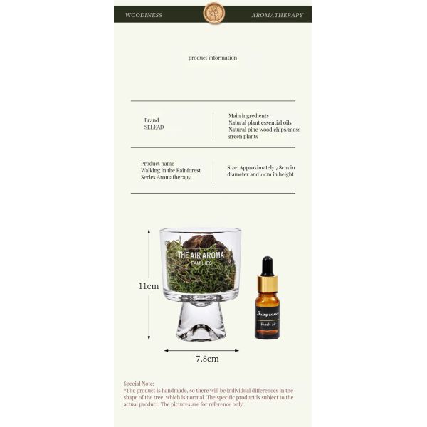 Designer 100ml Moss Diffuser Gift Set Keeping Air Fresh with Creative Scented Oil