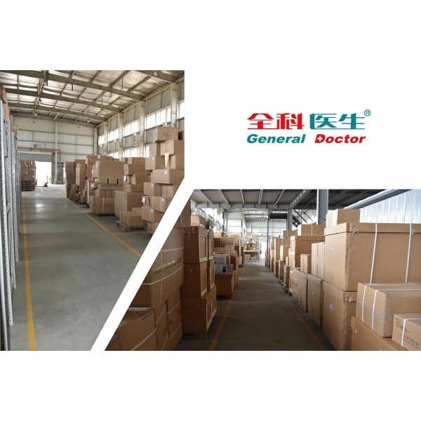 PVC Fetal Development Model OEM For School Training Observation