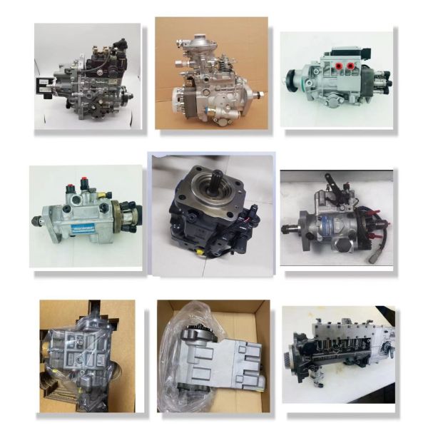 Related diesel fuel injection pumps and components