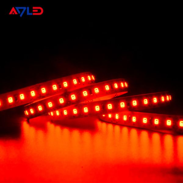 Quality 10mm SMD 2835 LED Strip Light Dimmable IP20 IP65 IP67 IP68 for sale