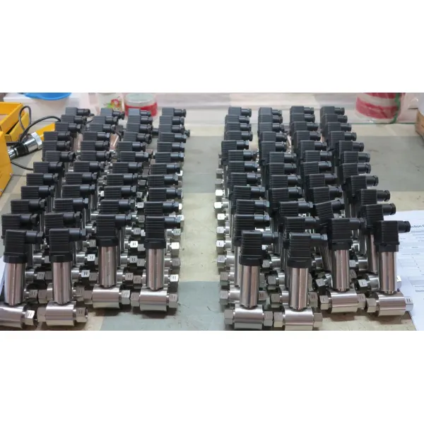 OEM 24V Stainless Steel Differential Pressure Transmitter Sensor China Manufacture