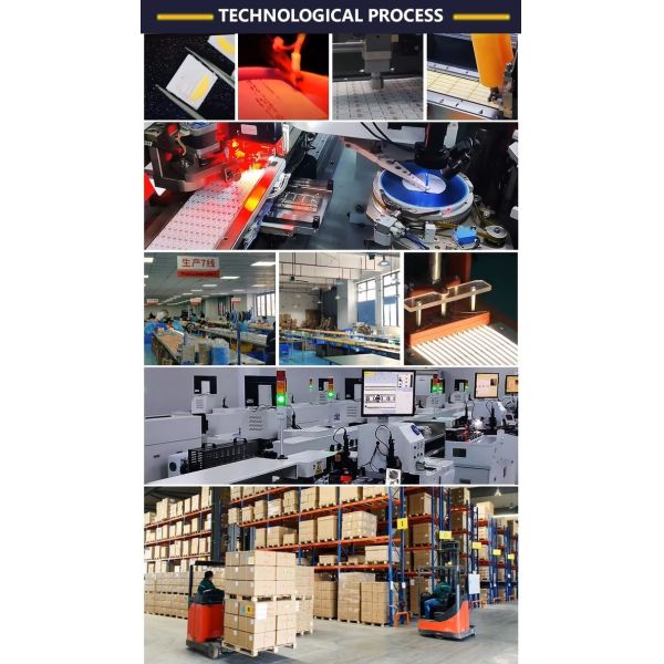 Modern New Design Led Flex Neon Strip Light For Project Company Event Wedding Party DecoRation