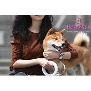 Retractable Double Handle Led Lighting Dog Collar Leash