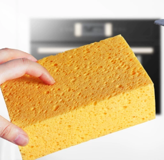 Yellow Seaweed Sponge showing porous texture
